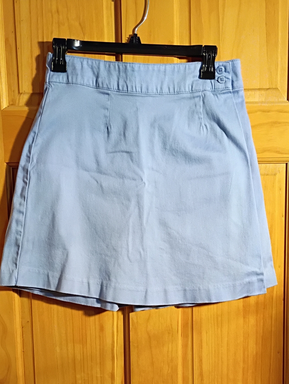 Vintage RealComfort By Chadwicks Pale Blue A-Line Skirt